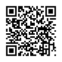 To view this 2014 BMW 3-Series Fayetteville NC from Team E-Z Auto | Bad Credit Auto Loans | Used BHPH Cars Fayetteville NC, please scan this QR code with your smartphone or tablet to view the mobile version of this page.
